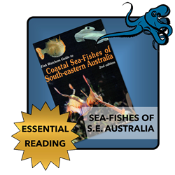 Coastal Sea Fishes Of South-eastern Australia